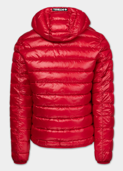 Kurtka zimowa PIT BULL pikowana z kapturem "SHATTO" - czerwony/czarny