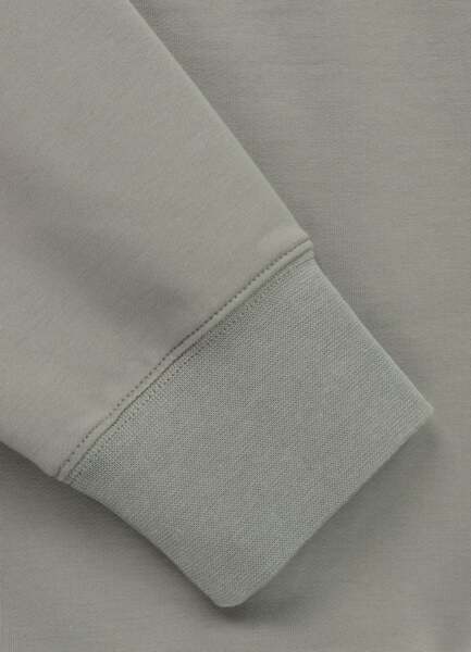 PIT BULL &quot;SURFING DOG&quot; sweatshirt - sage