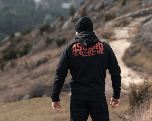 Bluza z kapturem rozpinana Dobermans Aggressive "DEFENCE LEGION ASGARD" BZ332E - szara