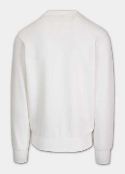 Bluza męska PIT BULL "SAMPSON" - off white