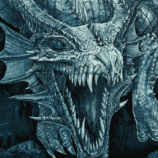 Koszulka HD "Dragon Lord"