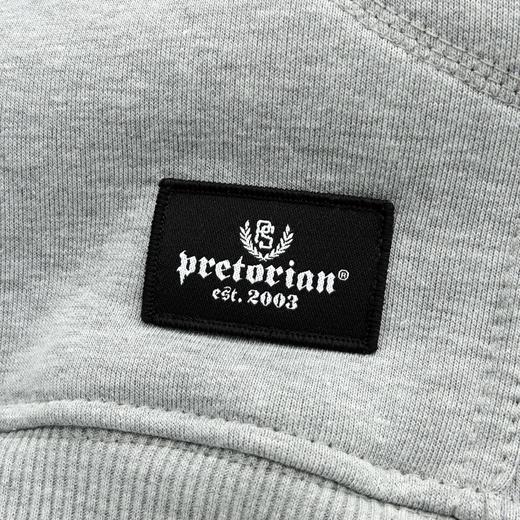 Hoodie Pretorian "Protect" - gray