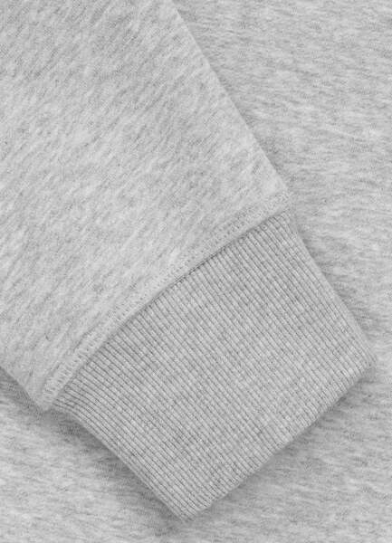 Bluza PIT BULL "BADGER" - szary