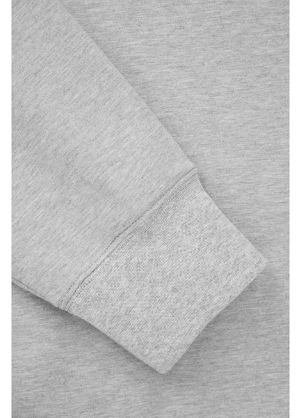 Bluza męska PIT BULL PHYSICAL CULTURE - szara