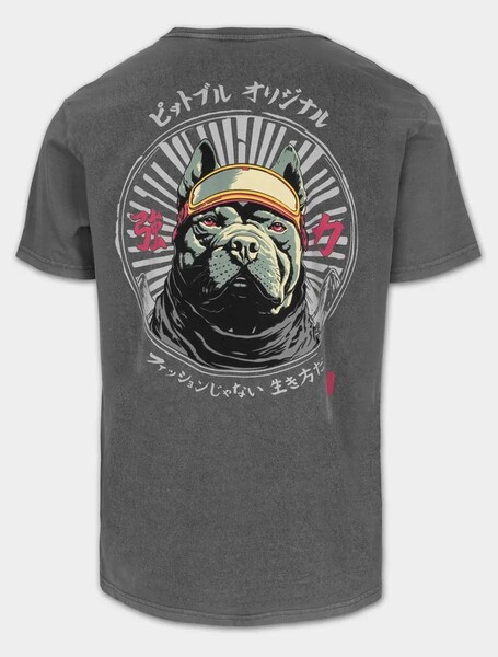 Koszulka męska PIT BULL Denim Washed "MT. FUJI" - szary