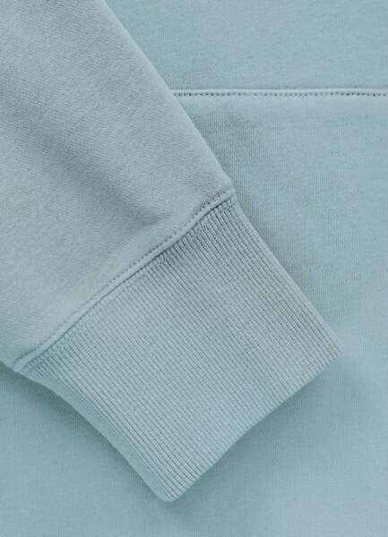 Bluza męska z kapturem washed PIT BULL "DOG SD" - błękitny