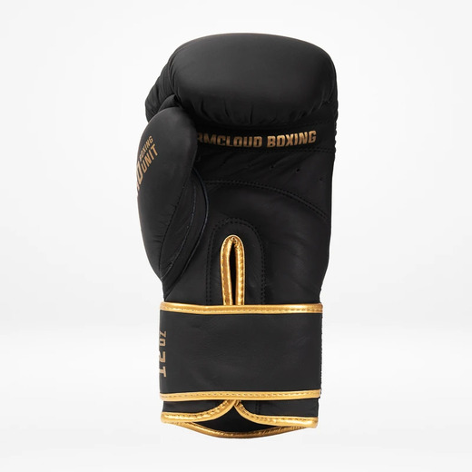 StormCloud "Boxing Pro" boxing gloves - black / gold