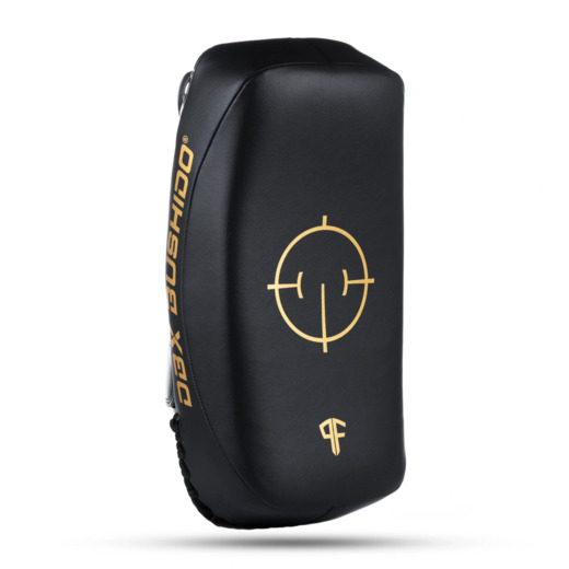 PAO Gold Thai Shields pair | ProFighter | DBX Bushido