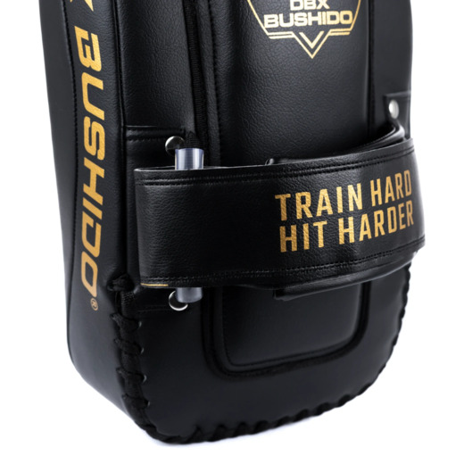 PAO Gold Thai Shields pair | ProFighter | DBX Bushido