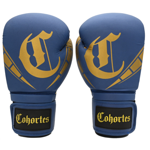 Boxing gloves Cohortes &quot;Sericum Cohort&quot; - blue