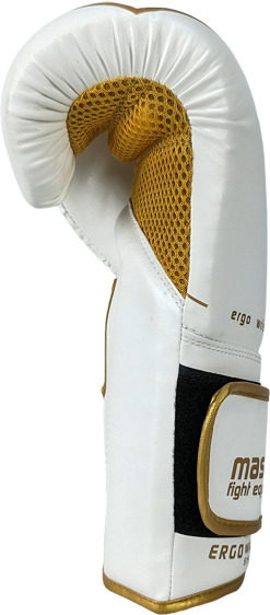  MASTERS RPU-ANGEL boxing gloves 