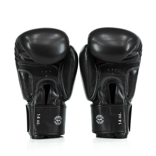 FAIRTEX BGV27 BOXING GLOVES (black) "K"