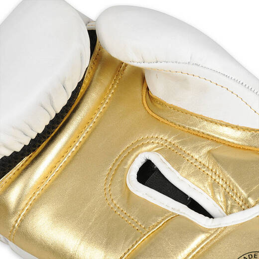 Boxing gloves &quot;HAMMER - White&quot; Bushido - B-2v19