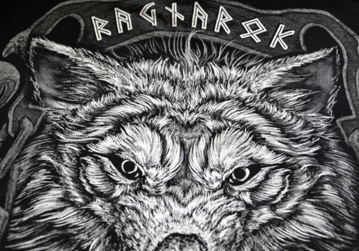 T-shirt &quot;Viking - Storm&quot; HD