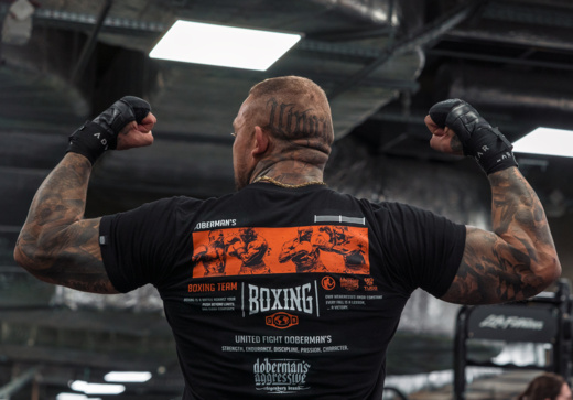 Longsleeve Dobermans Aggressive "COMICS BOXING II" LS360 - granatowy