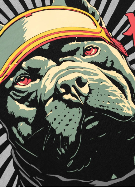 Koszulka męska PIT BULL "MT. FUJI" - czarny