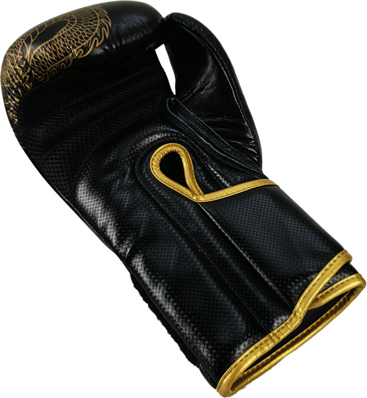 Masters RBT-DRAGON Leather Boxing Gloves - 12oz