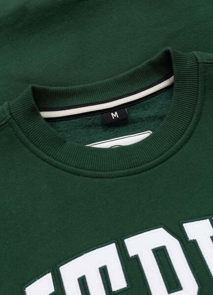 PIT BULL "NORTON" sweatshirt - green