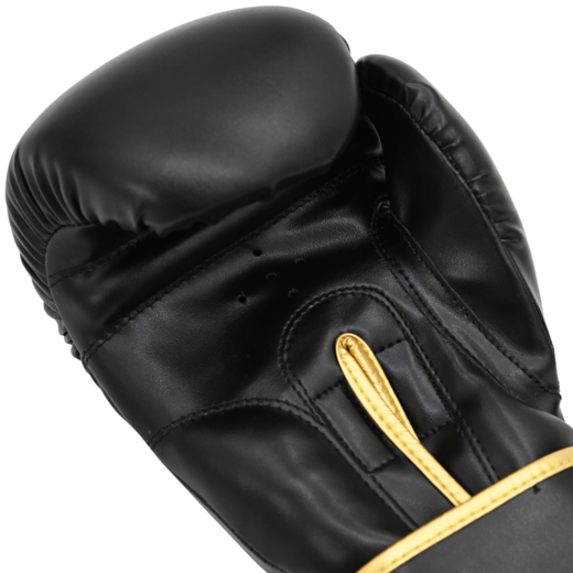 Boxing gloves Cohortes "Latus Cohort"