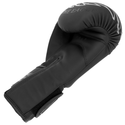 MASTERS ''RPU-BLACK-EAGLE'' boxing gloves - black