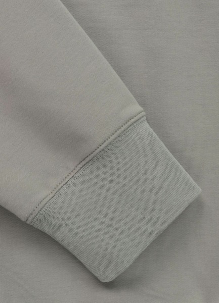 PIT BULL &quot;DOG SD&quot; men&#39;s sweatshirt - sage