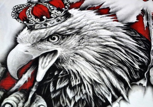 Koszulka Aquila "Polscy Fani" HD