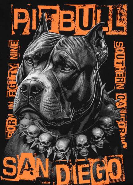 Bluza PIT BULL "BLACKY" - czarny