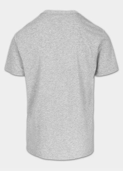 Koszulka męska PIT BULL Coolmax "SCOTT" - szara melanż