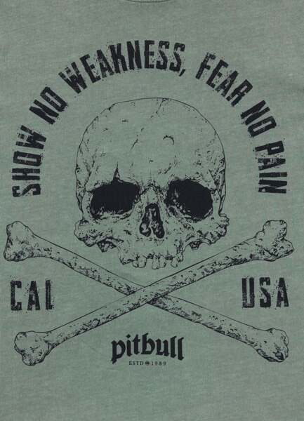 Washed PIT BULL "FEAR NO PAIN" T-shirt - green