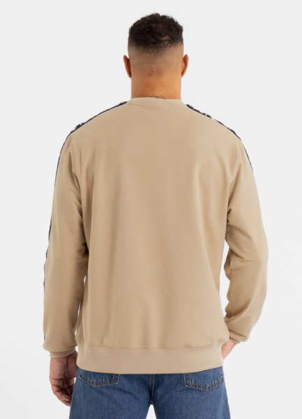 Bluza męska PIT BULL "TAPE NUGGET" - piaskowy