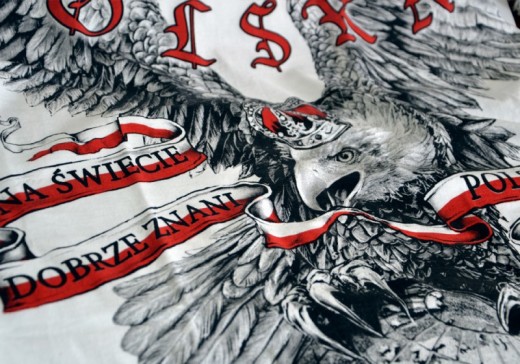 Koszulka Aquila "Polscy Fani" HD