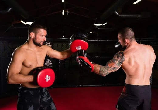 Bushido trainer paws coaching pads ARF-1119 double-sided shields