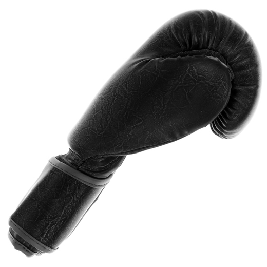 MASTERS RPU-GLOSS boxing gloves