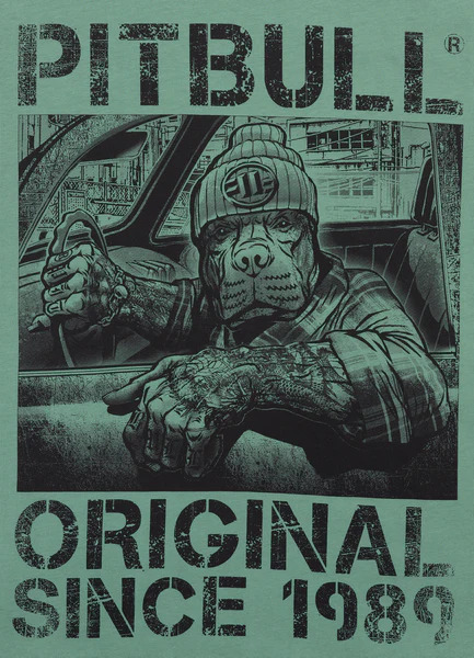 Koszulka męska PIT BULL "DRIVE" - miętowy