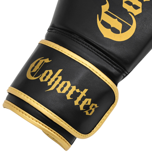 Boxing gloves Cohortes "Latus Cohort"