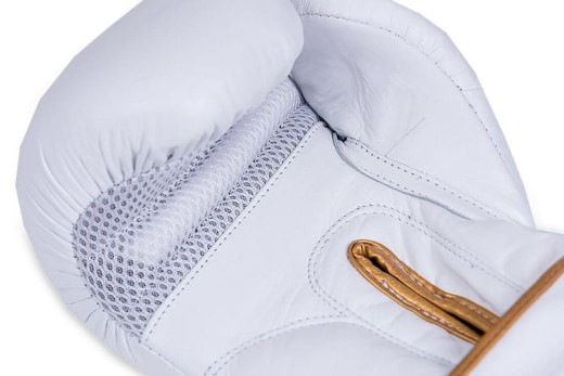 Bushido boxing gloves DBD-B-2