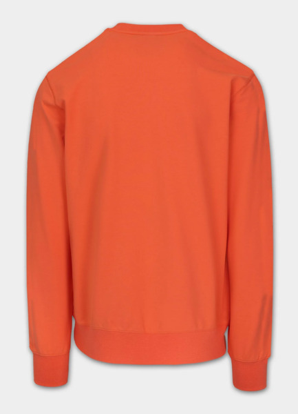 PIT BULL &quot;SURFING DOG&quot; sweatshirt - salmon