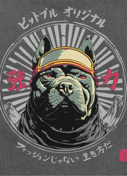 Koszulka męska PIT BULL Denim Washed "MT. FUJI" - szary