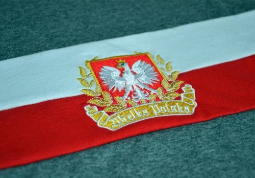 Koszulka Aquila "Wielka Polska" - pasy szara