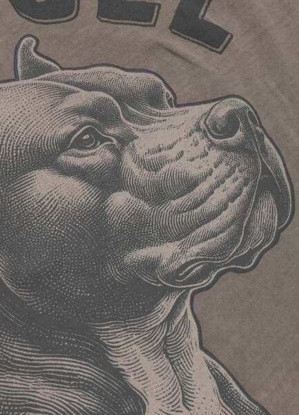 Koszulka męska PIT BULL Denim Washed Raw "PACIFIC" - szarobrązowa