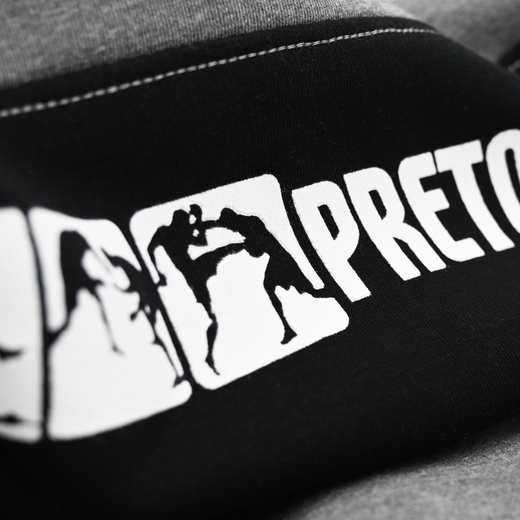 Hoodie Pretorian "Fight Division" - grey