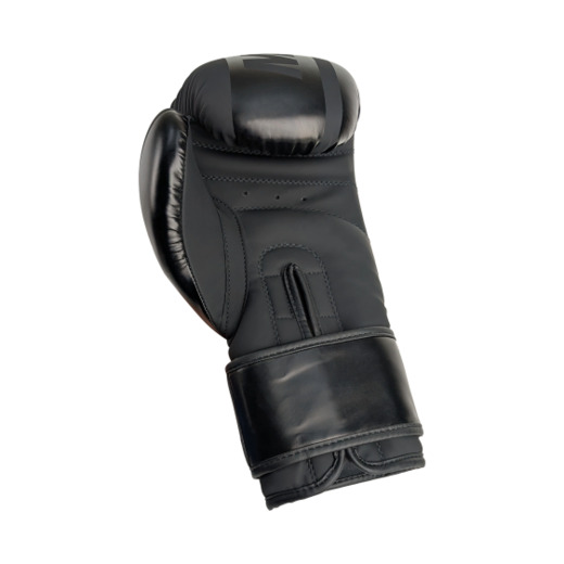 MASTERS RPU-VOLT boxing gloves