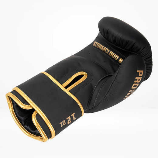 StormCloud "Boxing Pro" boxing gloves - black / gold