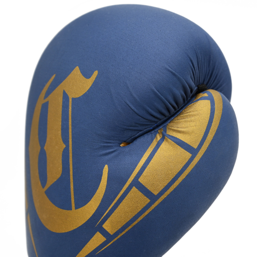 Rękawice bokserskie Cohortes "Sericum" - niebieskie