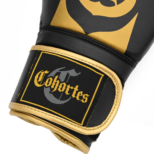 Cohortes "Cornibus Cohort" leather boxing gloves - black/gold