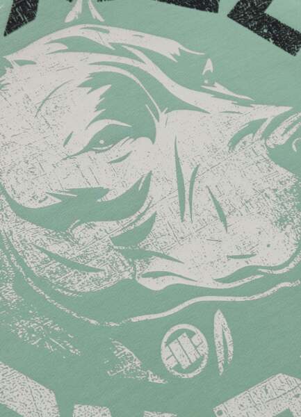 Bluza męska z kapturem PIT BULL "DOG SD" - miętowy