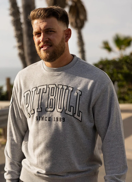 Bluza PIT BULL "BADGER" - szary