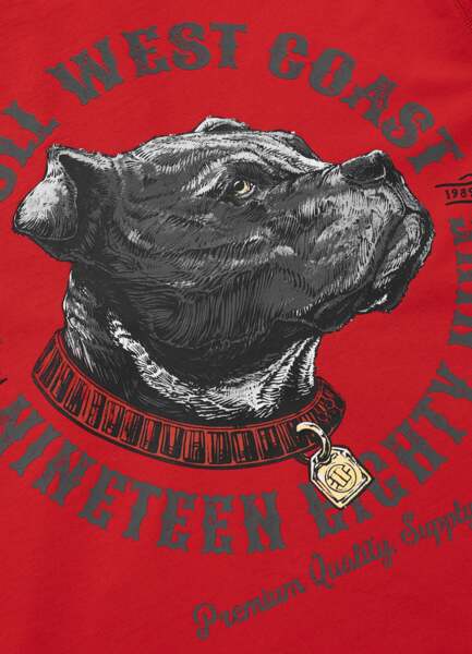 Bluza męska z kapturem PIT BULL "STRENGTH & RESPECT" - czerwony