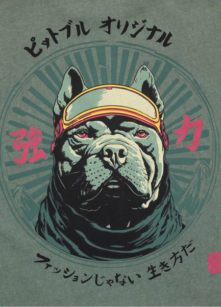 PIT BULL Denim Washed Men&#39;s T-Shirt &quot;MT. FUJI&quot; - Dark Green