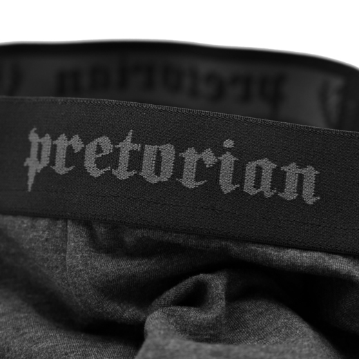 Pretorian boxer shorts set of 3 pieces - gray / graphite / navy blue